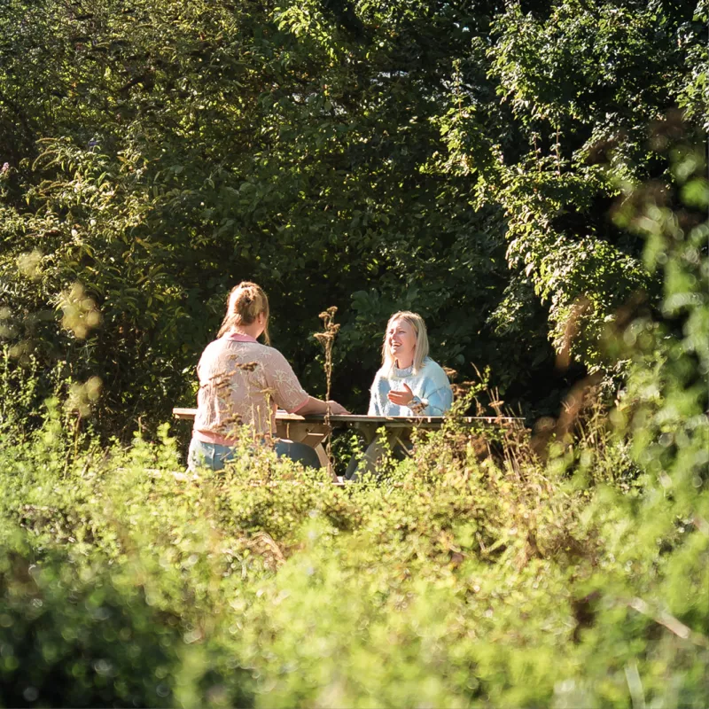 Colleagues sitting at the picnic table of Bekina