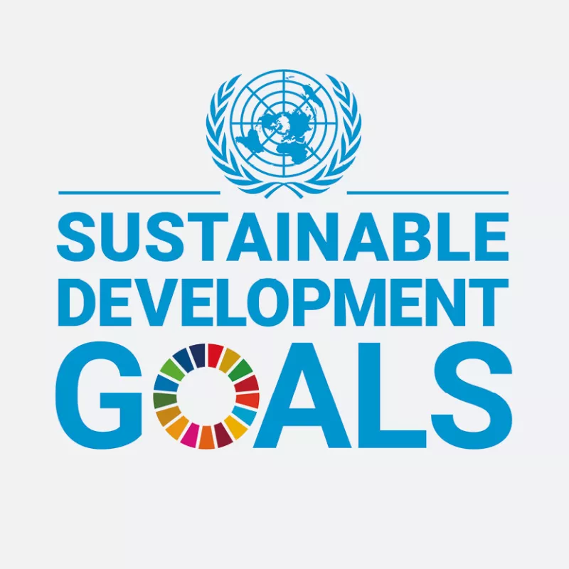 Sustainable Development Goals Logo